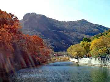 新澳天天开奖资料大全旅游团，同步带规格